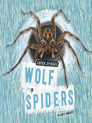 cover image of Wolf Spiders